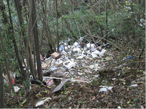 不法投棄ゴミの山積み